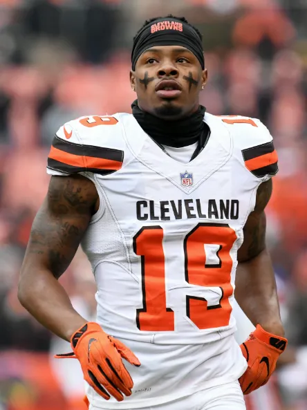 Corey Coleman Net Worth , Age, Height, Weight, Occupation, Career And More