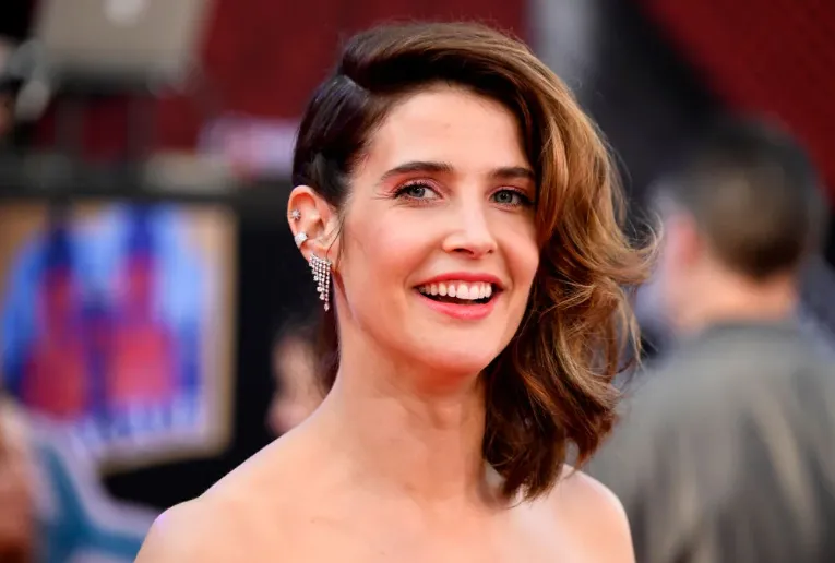 Cobie Smulders Net Worth