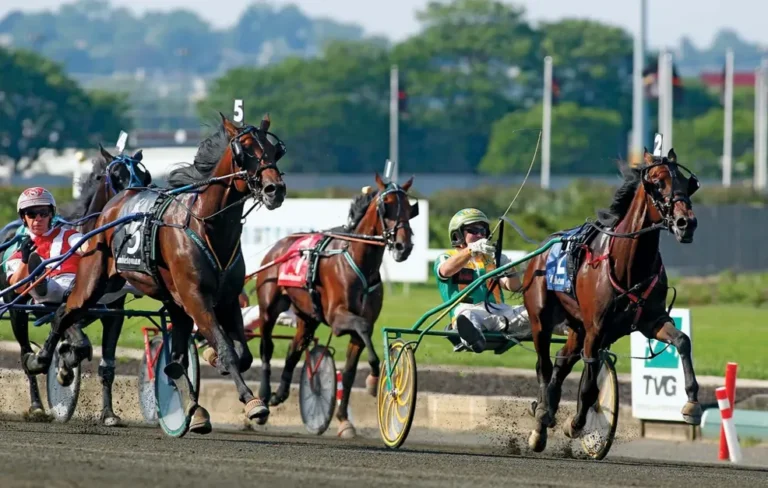 What is harness racing