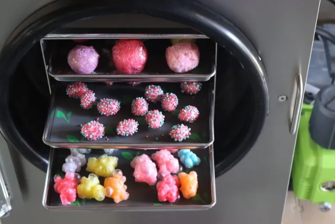 How to Make Freeze Dried Skittles at Home
