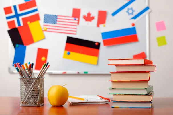 Importance of Linguistic Precision in Translating Your Content For Foreign Markets Importance of Linguistic Precision in Translating Your Content For Foreign Markets
