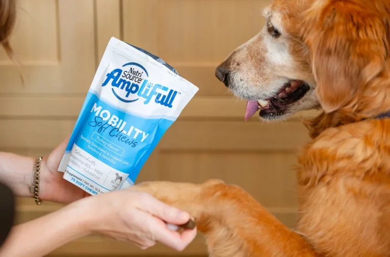 Enhancing Your Dog's Vitality The Importance of Mobility Supplements
