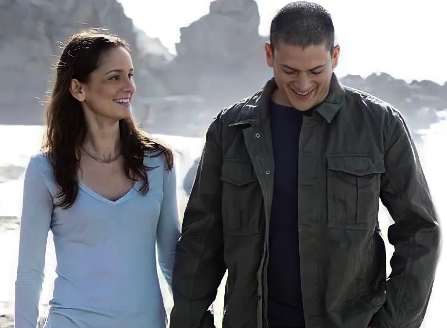 Wentworth Miller's Wife, Age, Height, Weight, Net Worth, Career And Full Bio