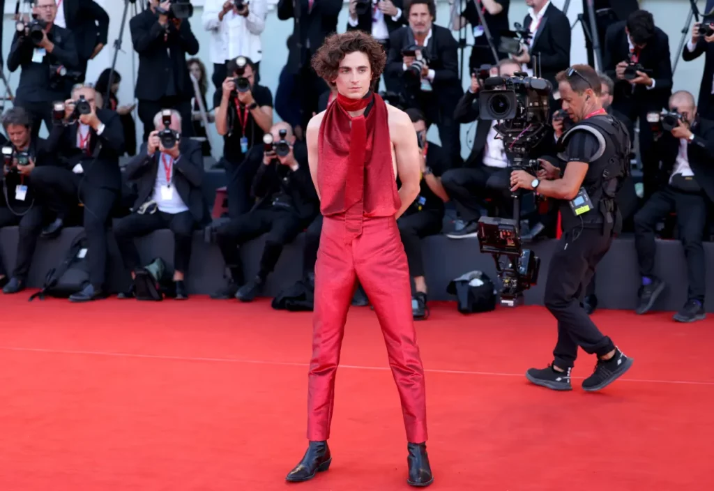 Timothée Chalamet Age, Biography, Career, Net Worth, Lifestyle, and More
