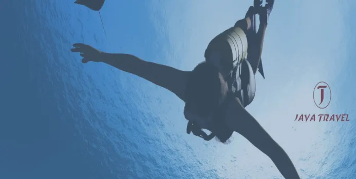 Discovering Scuba Diving Deals with Java Travel in 2026 Discovering Scuba Diving Deals with Java Travel in 2026